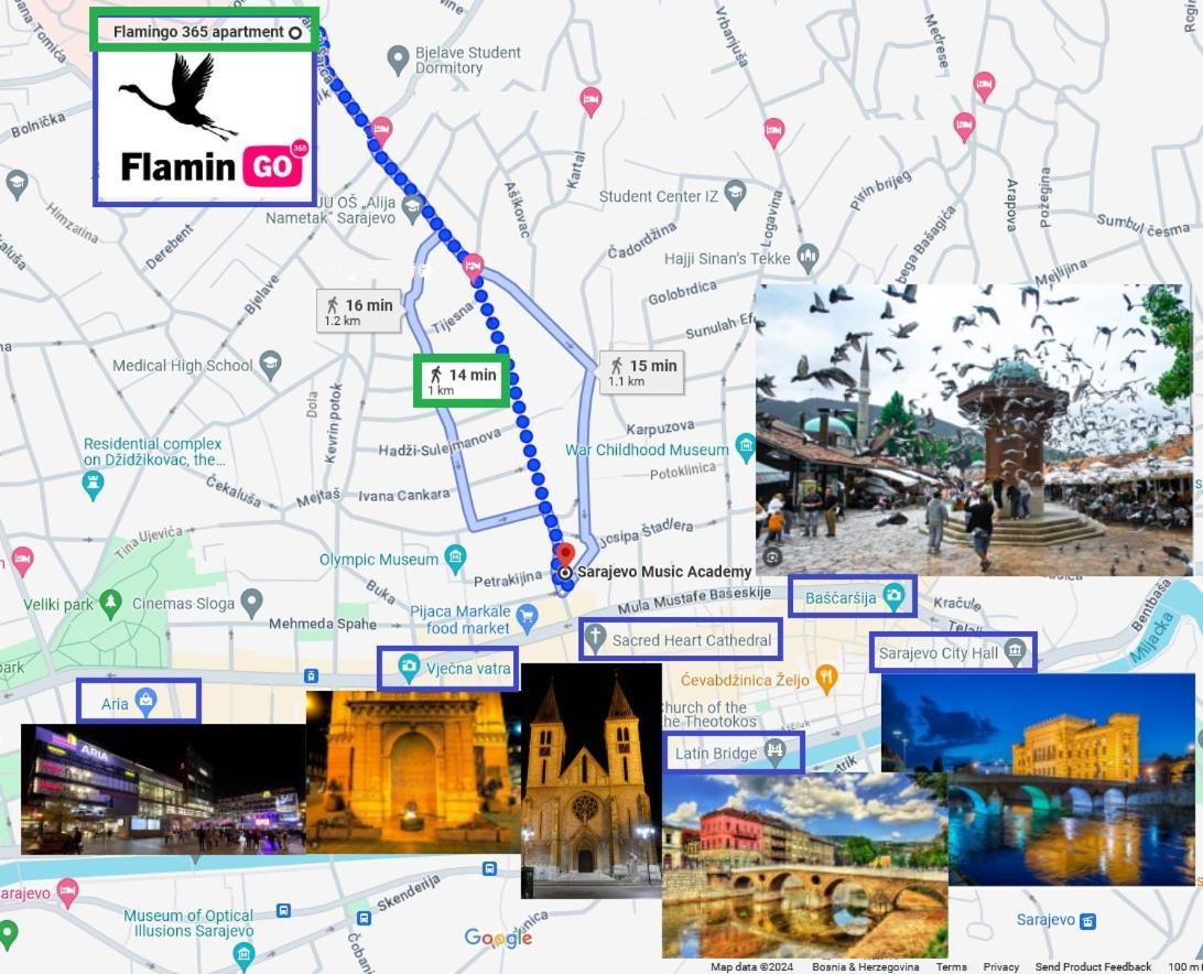 Flamingo 365 - Near City Center With Free Parking SJJ Eksteriør bilde
